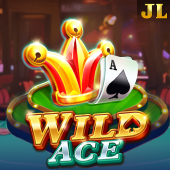 Wild Ace aviation card slot cover art
